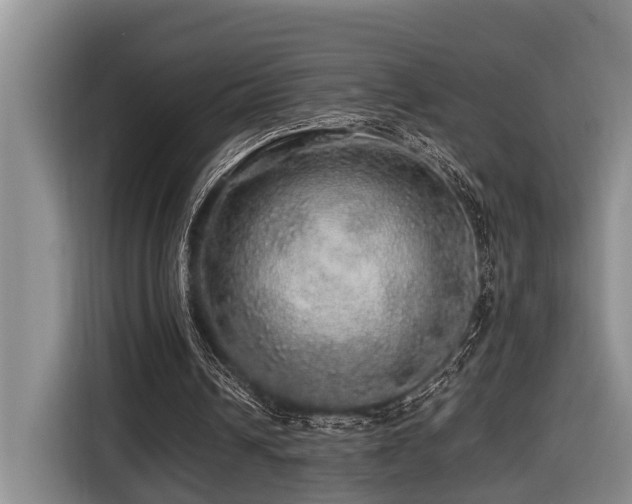 X0000116440242200912081602