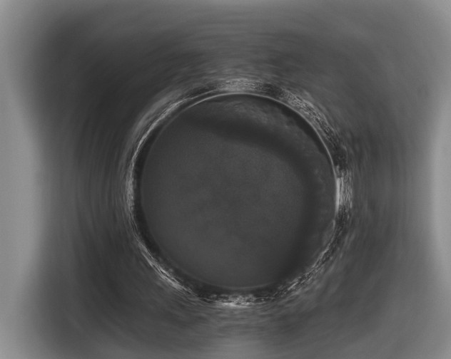 X0000116440243200912081602