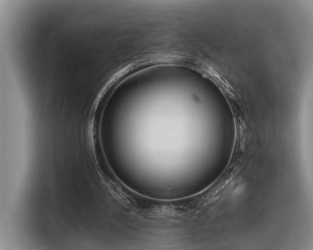 X0000116440244200912081602