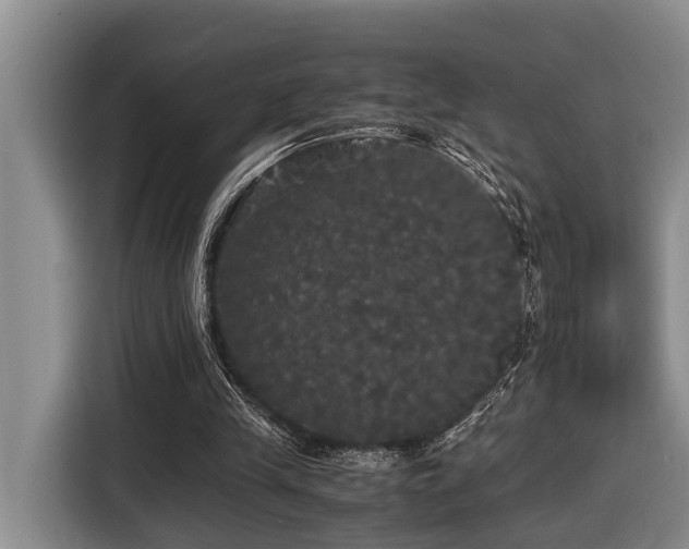 X0000116440245200912081602