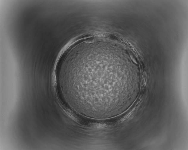 X0000116440246200912081602