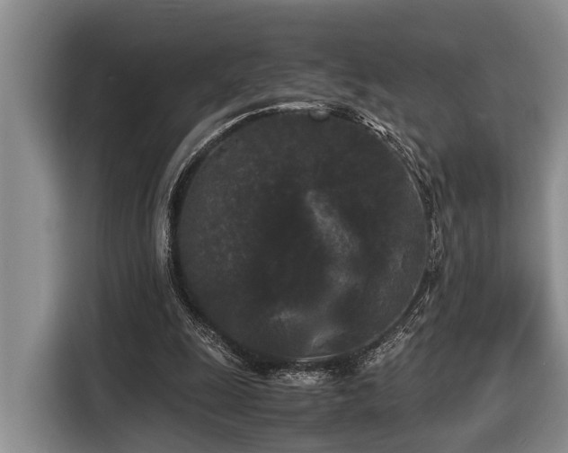 X0000116440247200912081602