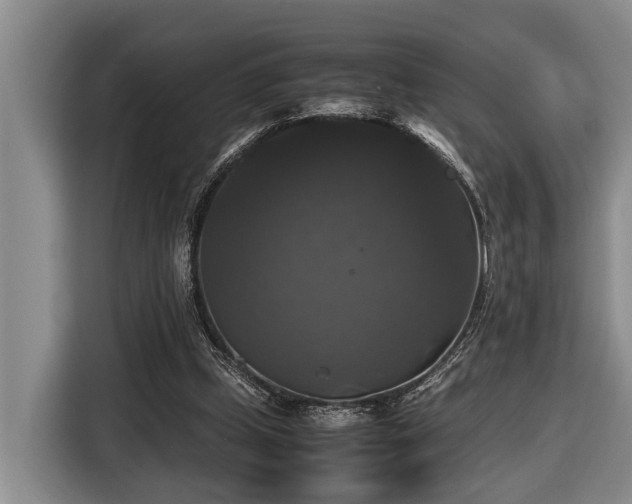 X0000116440249200912081602