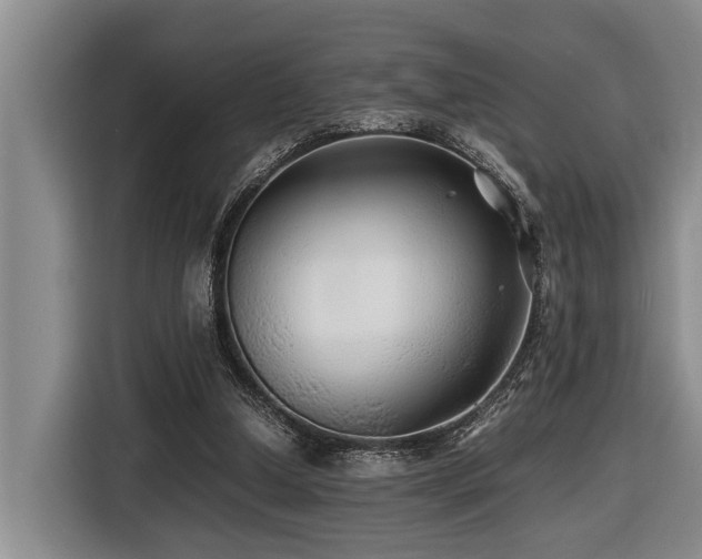 X0000116440250200912081602