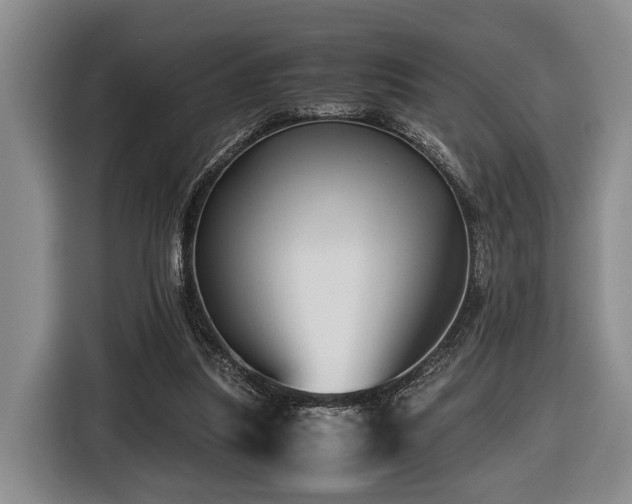 X0000116440251200912081602