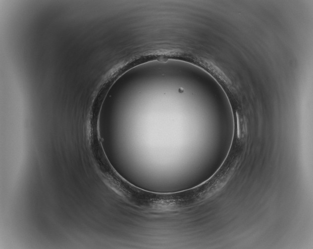 X0000116440252200912081602