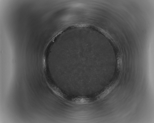 X0000116440254200912081602