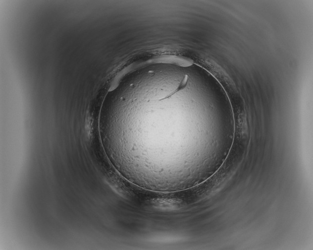 X0000116440255200912081602