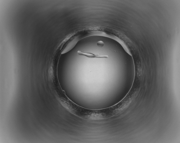 X0000116440256200912081602