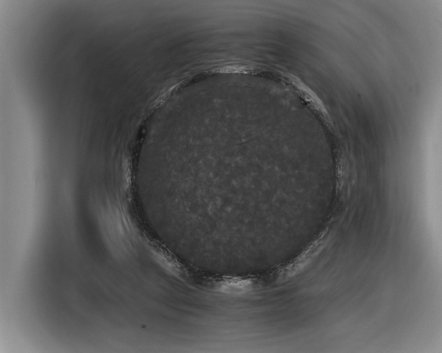 X0000116440257200912081602