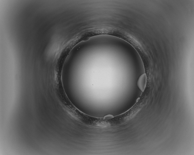X0000116440258200912081602