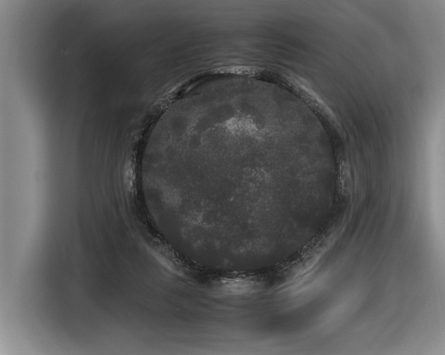 X0000116440259200912081602