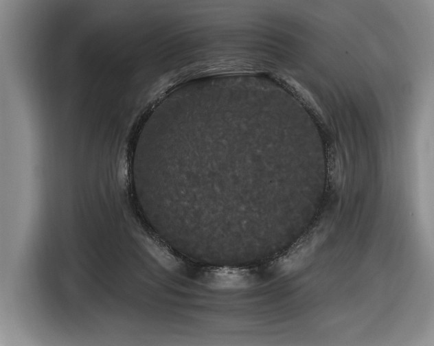 X0000116440261200912081602