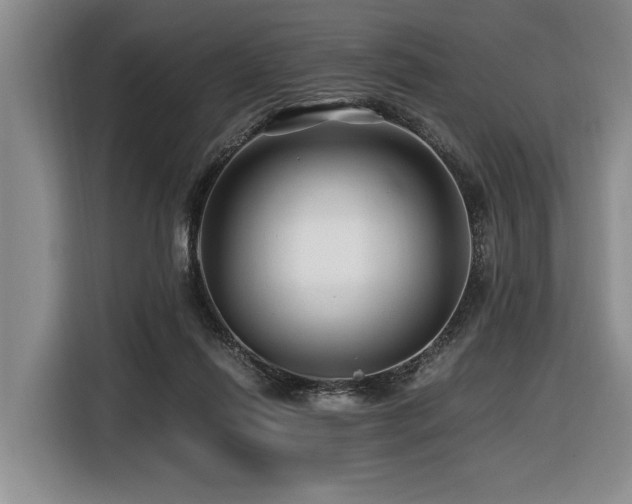 X0000116440262200912081602