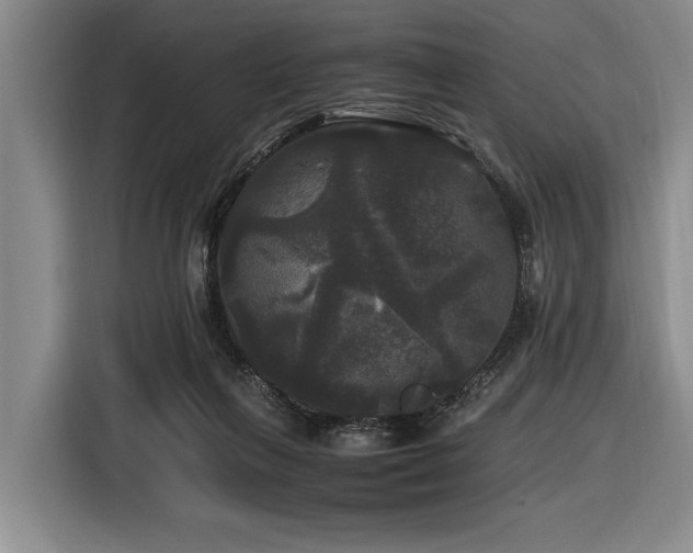 X0000116440263200912081603