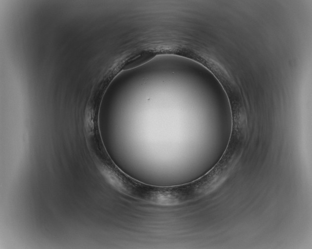 X0000116440264200912081603