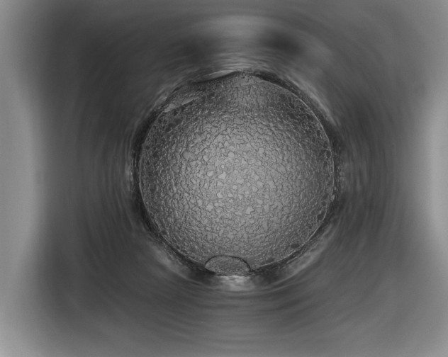 X0000116440265200912081603