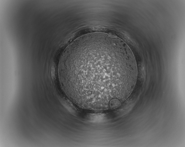X0000116440266200912081603