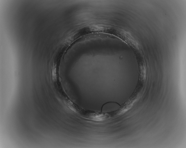 X0000116440267200912081603