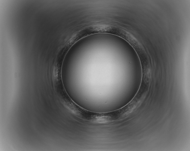 X0000116440268200912081603