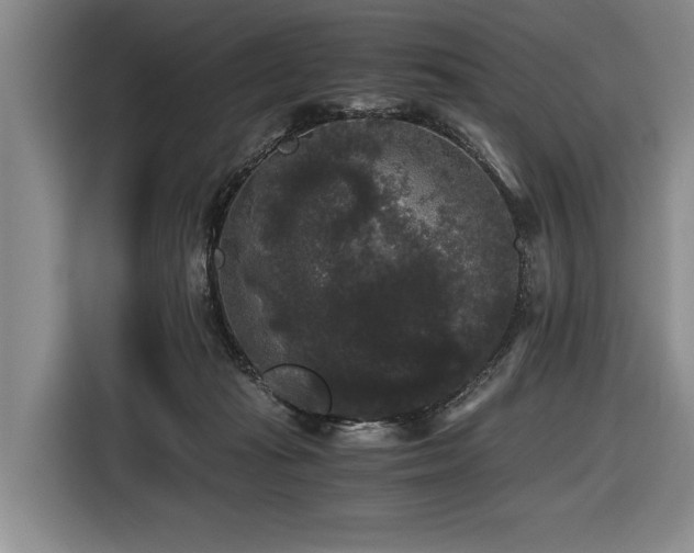 X0000116440269200912081603