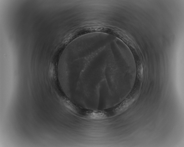 X0000116440270200912081603