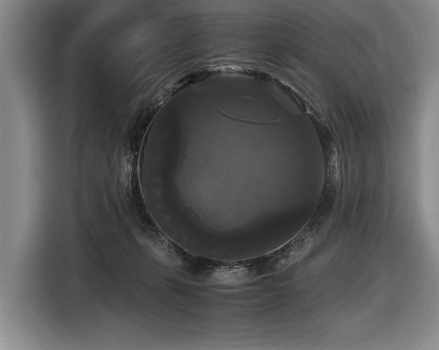 X0000116440271200912081603