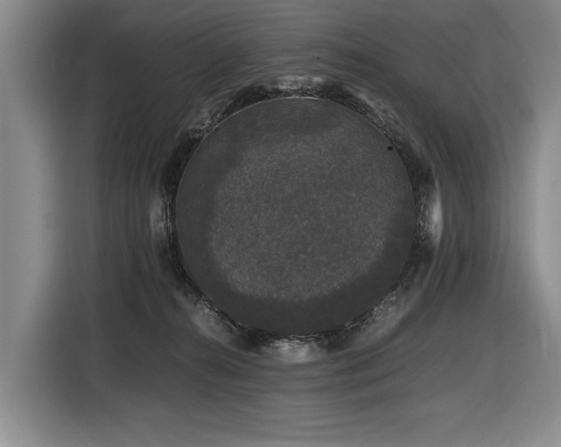 X0000116440272200912081603