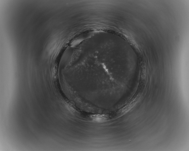 X0000116440273200912081603
