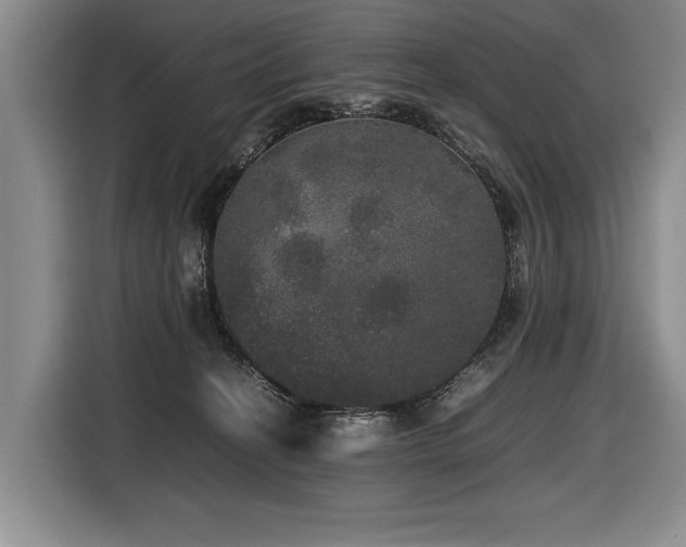 X0000116440274200912081603