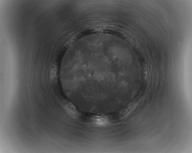 X0000116440275200912081603
