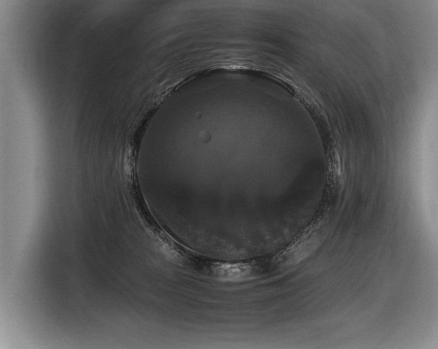 X0000116440277200912081603
