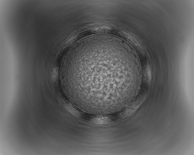 X0000116440278200912081603