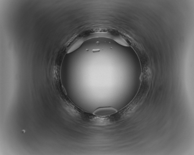 X0000116440280200912081603