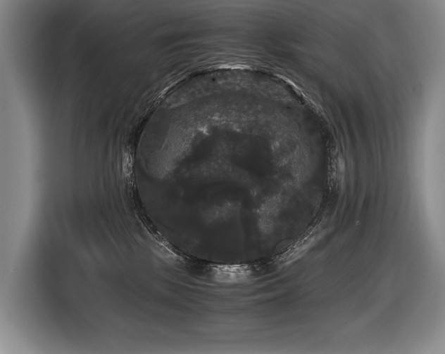 X0000116440281200912081603