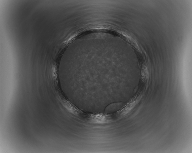 X0000116440282200912081603