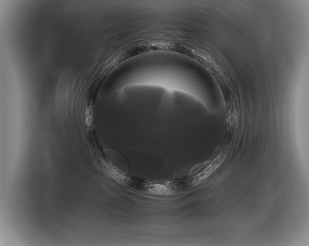 X0000116440285200912081603