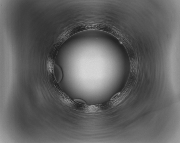 X0000116440287200912081603