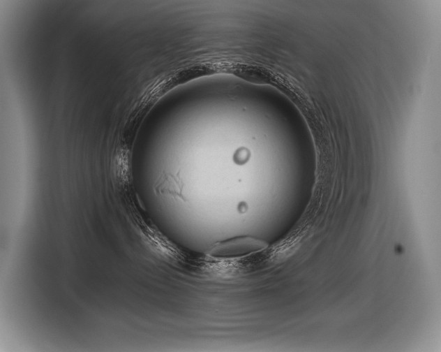 X0000116440288200912081603