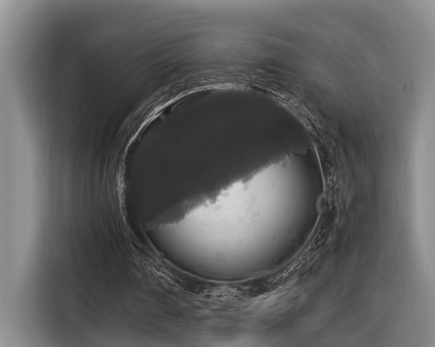 X0000116440290200912081602