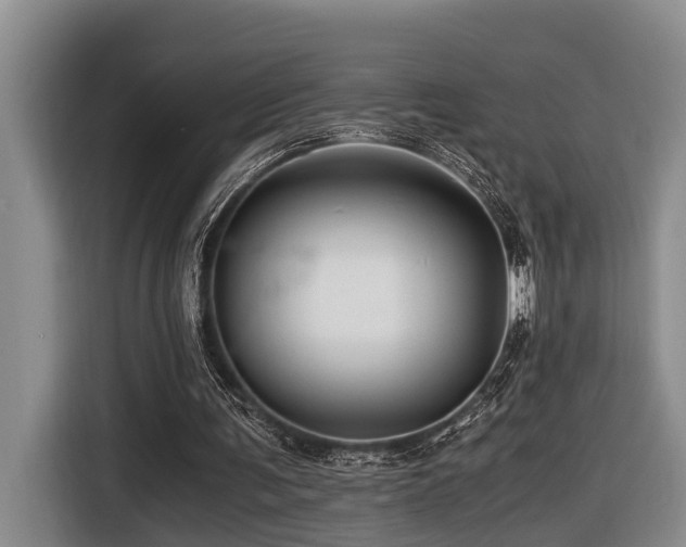 X0000116440291200912081602