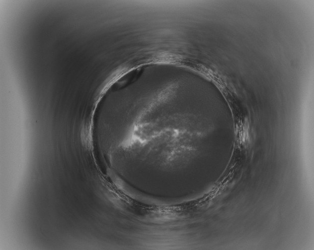 X0000116440292200912081602