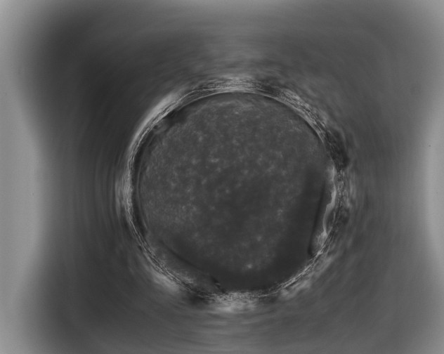 X0000116440293200912081602