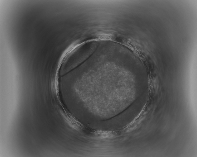 X0000116440294200912081602
