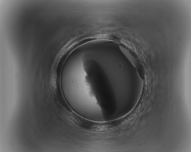 X0000116440295200912081602