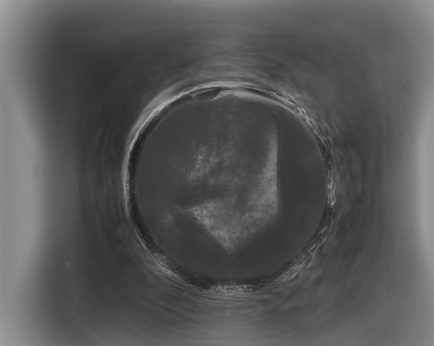 X0000116440296200912081602