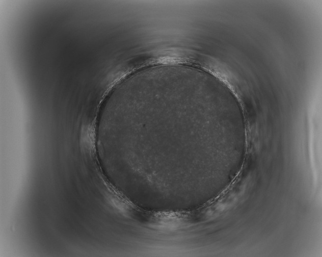 X0000116440297200912081602