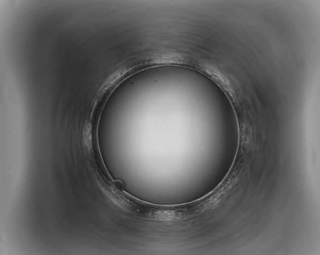 X0000116440298200912081602