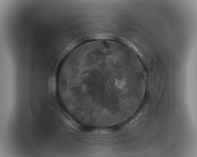 X0000116440299200912081602