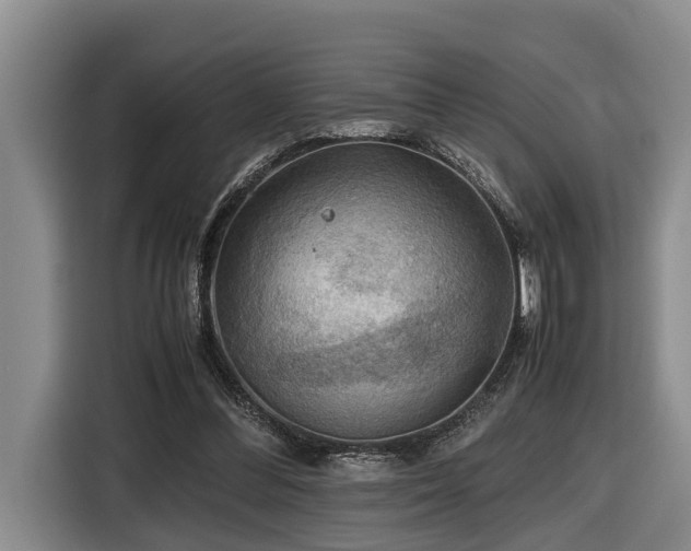 X0000116440300200912081602